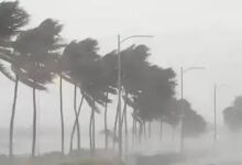 #UPWeatherUpdate, #UPWeather, #UttarPradeshWeather, #UPRainAlert, #WeatherForecast, #LucknowWeather, #उत्तरप्रदेशमौसम, #यूपीमौसमअपडेट, #यूपीमेंबारिश, #मौसमपूर्वानुमान, #हाथरस, #अलीगढ़, #लखनऊ, #किसानसमाचार, #धानकीफसल, #गन्नेकीफसल, #बेमौसमबारिश, #कृषिसमाचार, #WeatherNews, #PaddyCrop, #SugarcaneCrop,यूपी में बारिश कब होगी, 15 अक्टूबर 2026 यूपी मौसम, यूपी मौसम विभाग की ताजा खबर, लखनऊ में बारिश का पूर्वानुमान, पश्चिमी यूपी में बारिश कब होगी, पूर्वांचल में बारिश की संभावना, उत्तर प्रदेश में पश्चिमी विक्षोभ, हाथरस किसान की मौत की खबर, अलीगढ़ में बारिश से धान खराब, यूपी में गन्ने की फसल पर बारिश का असर, UP weather forecast 15 October 2026, Will it rain in Uttar Pradesh after October 15, UP rain alert latest news, Uttar Pradesh weather forecast October 2026, Paddy crop damage due to rain in UP,UP Weather Update, Uttar Pradesh Weather News, UP Rain Forecast October 2026, UP Weather After October 15, Uttar Pradesh Rain Alert, Western Disturbance Uttar Pradesh, Lucknow Weather Forecast, Western UP Rain Forecast, Eastern UP Weather Update, Awadh Weather News, Hathras Farmer Death, Aligarh Farmer Death, Lightning Incident Hathras, Aligarh Paddy Market, Paddy Crop Damage UP, Sugarcane Crop Damage Uttar Pradesh, Unseasonal Rain in UP, UP Agriculture News, India Meteorological Department UP Forecast, October Weather Update Uttar Pradesh,
