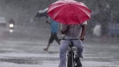 UP Weather Alert, UP Weather Update, UP Weather Today, Uttar Pradesh Weather Forecast, UP Rain Alert, Uttar Pradesh Rain Forecast, Western UP Rain Alert, Lucknow Weather Today, Agra Temperature Today, Hardoi Minimum Temperature, UP IMD Weather Update, India Meteorological Department, Western Disturbance Uttar Pradesh, UP Rain Forecast October 2026, Uttar Pradesh Weather News, UP Weather News Today, Rain Alert in Western Uttar Pradesh, Eastern UP Weather Update, UP Weather Forecast 16 October, Uttar Pradesh Weather 17 October, Dr Atul Singh Weather Forecast, Lucknow Weather News,